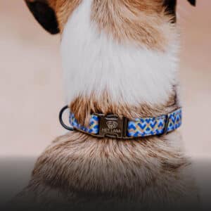 Hey Lana Kunterbunt Kollektion