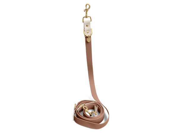Outdoor Leash in Mocha Mousse and Beige