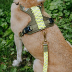Premium lead - 3-way adjustable - 2m - olive green/neon yellow - Image 6