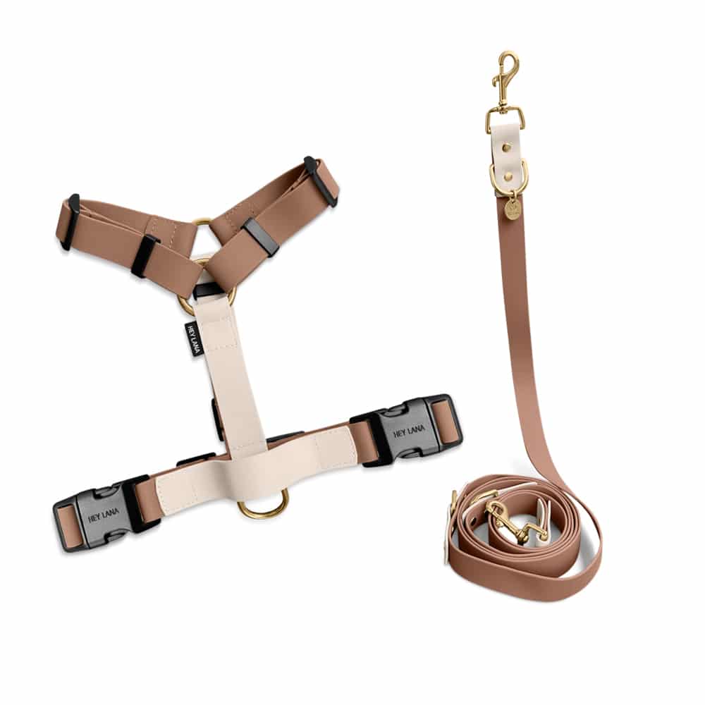 Outdoor-Set-Geschirr-Leine-mocca Set Outdoor Geschirr und Leine