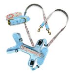 Set Coral Blau mit Halsband Leine und Geschirr