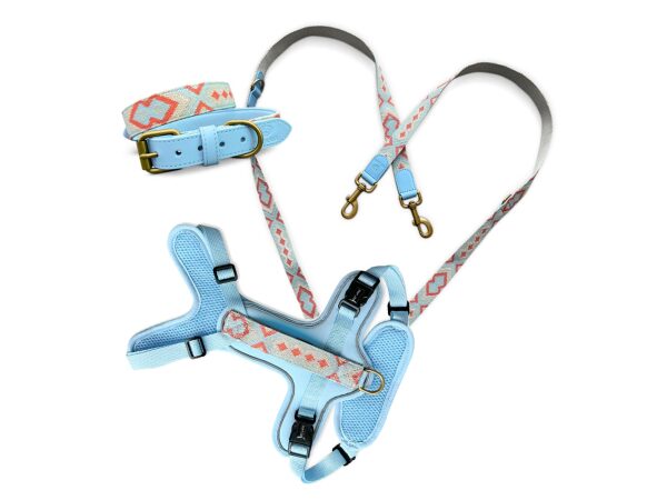 Set Coral Blau mit Halsband Leine und Geschirr