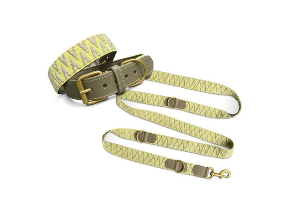 Premium Set Halsband und Leine und Geschirr Olivgruen