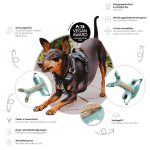 Tres Chic Geschirr erklärt mit Funktionen