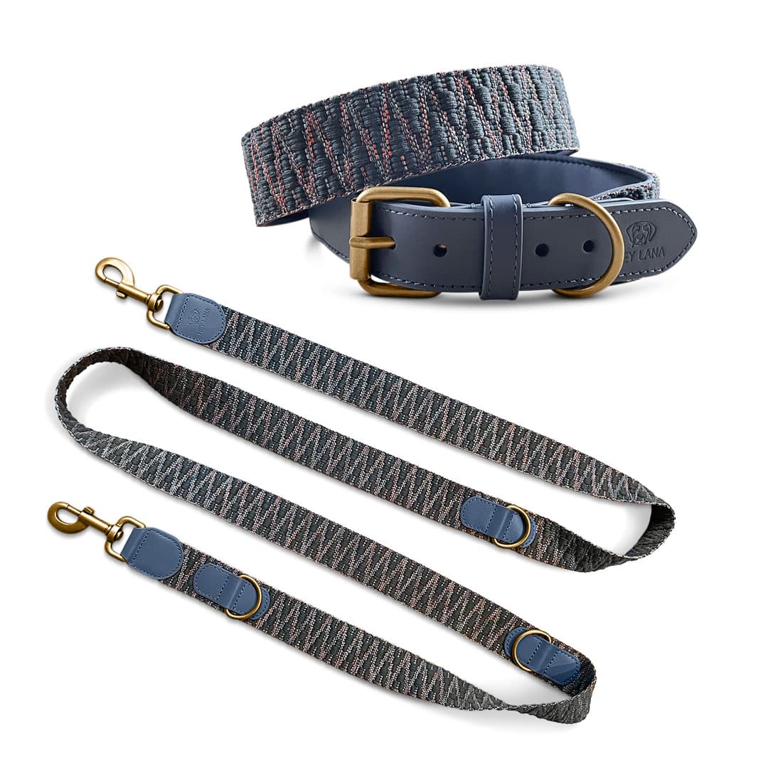 Tres-Chic-Set-Leine-Halsband-blau-grau Kollektion Très chic - Set Hundehalsband und Leine - Blau/Grau – Bild 1