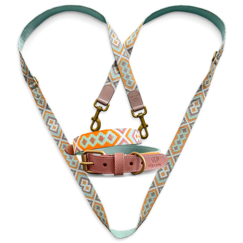 Tres-Chic-Set-Leine-Halsband-mint-orange Kollektion Très chic - Set Hundehalsband und Leine - Mint/Orange – Bild 1