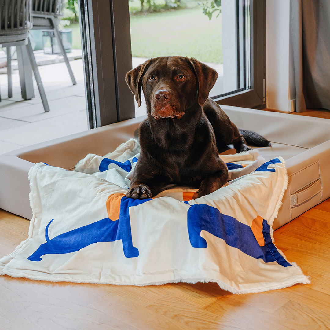 hey-lana-hundedecke-zubehoer-mehrere-hunde-koerbchen The Cozy Pup - Hundedecke – Bild 1