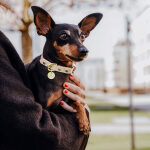 Hundehalsband Outdoor FLEX – Wasserfest – Mocca/Mousse
