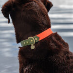Dog collar Outdoor FLEX - Waterproof - Neon orange/green - Image 3