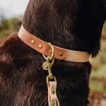 Hundehalsband Outdoor FLEX – Wasserfest – Mocca/Mousse – Bild 3