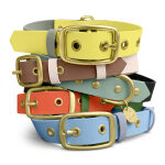 Hundehalsband Outdoor FLEX – Wasserfest – Schwarz/Mint – Bild 7