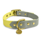 Dog collar Outdoor FLEX - Waterproof - Lemon/Seagrass - Image 4