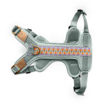 Premium Padded Dog Harness - Sunset/Eucalyptus - Image 4