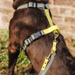 Outdoor FLEX lead - 3-way adjustable - Lemon/Seagrass - Image 6