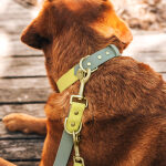 Dog collar Outdoor FLEX - Waterproof - Lemon/Seagrass